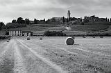 Castle of Susegana in b&w, summer 2008