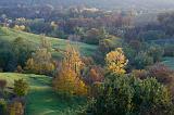 Autumn 2007
